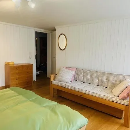 Casa Via Vitg Sut * Schluein